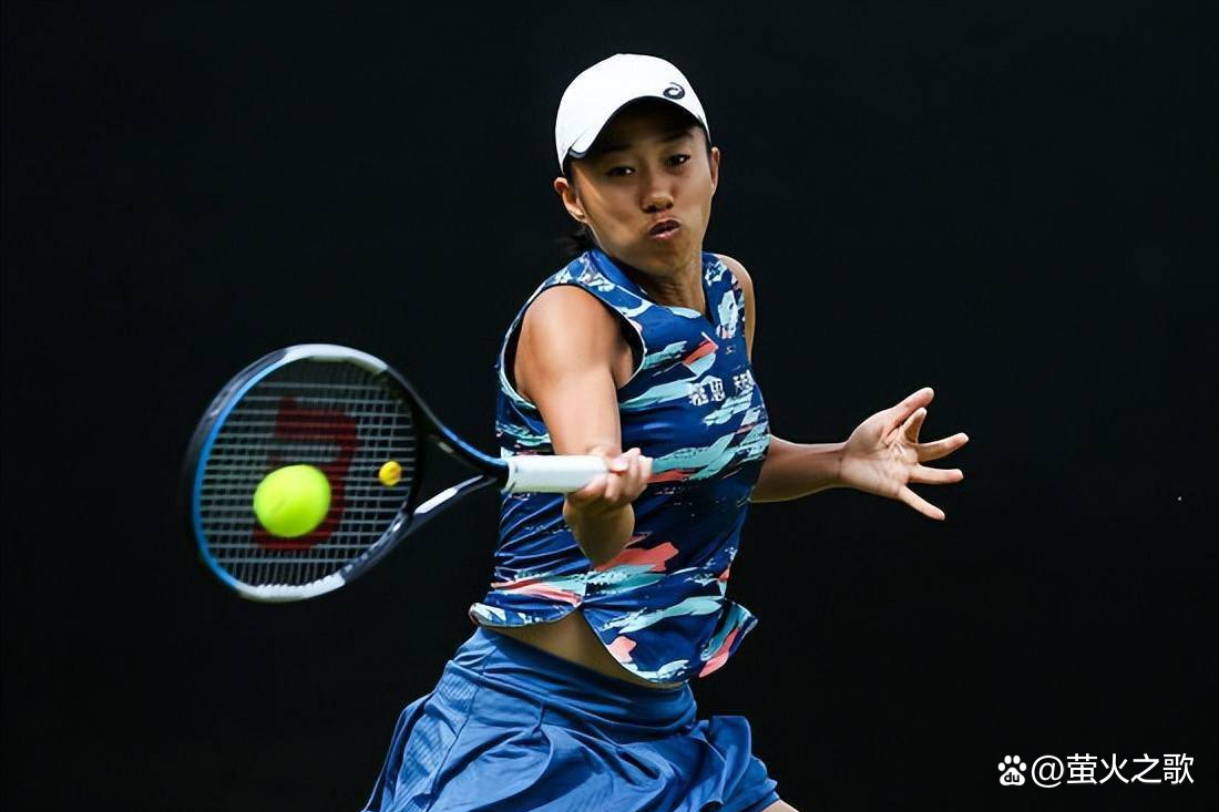 意味着承担 意味着承担