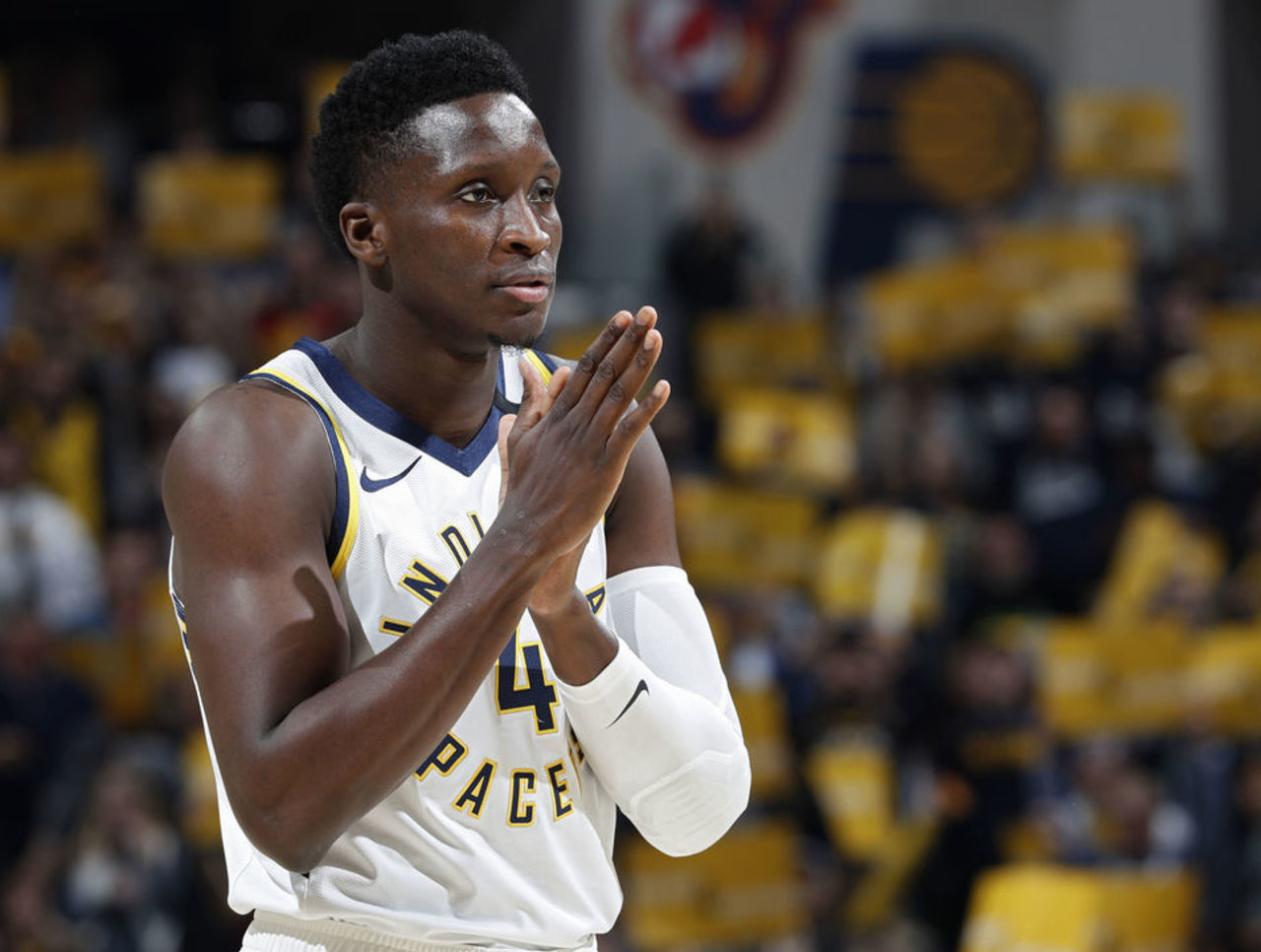 他们需要寻 他们需要寻